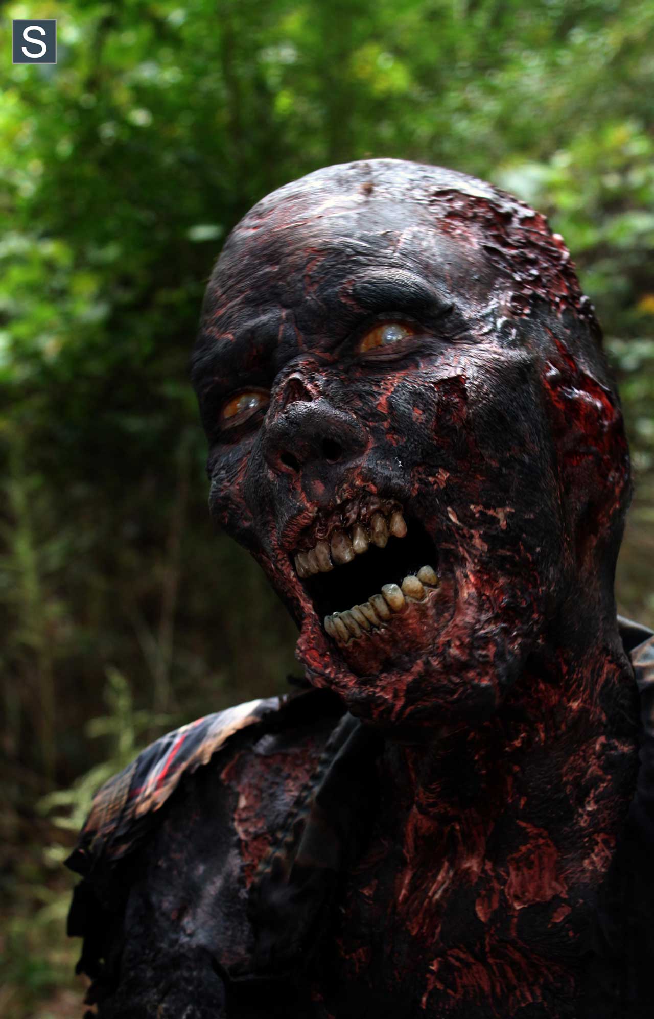 Zumbi Queimado do 14º episódio da 4ª Temporada de The Walking Dead.