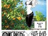 One piece opj47 cruise ehime nami