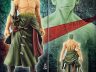 One piece master stars piece the roronoa zoro special version poster