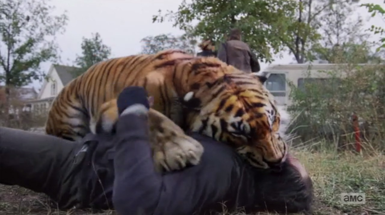 The Walking Dead 7ª Temporada | Khary Payton revela como Shiva reconhece os inimigos