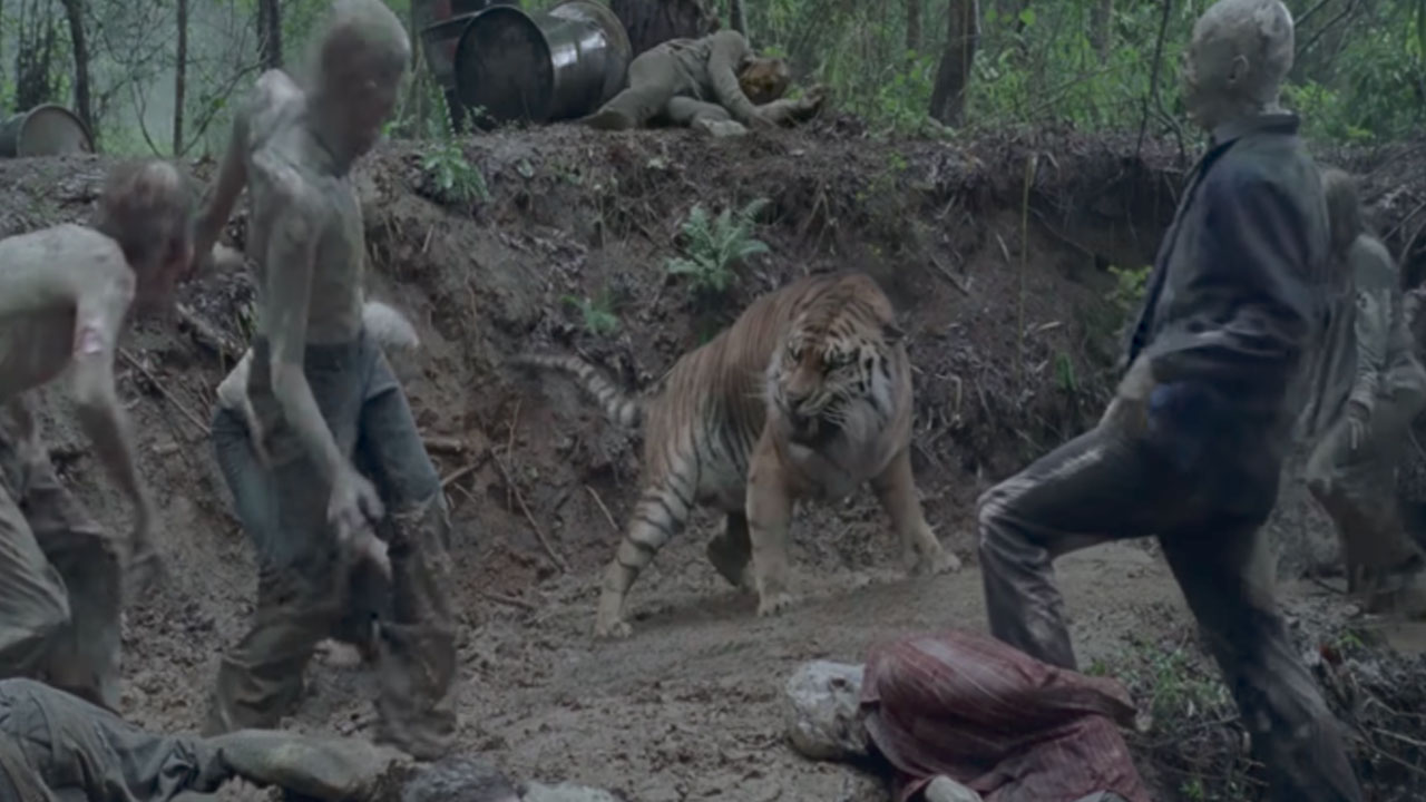 The Walking Dead 8ª Temporada | Reveja a cena da MORTE de Shiva no 4º Episódio!