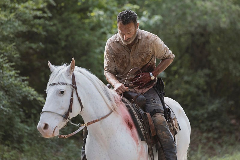 Sinopse VAZADA de The Walking Dead Confirma DESTINO de Rick Grimes!