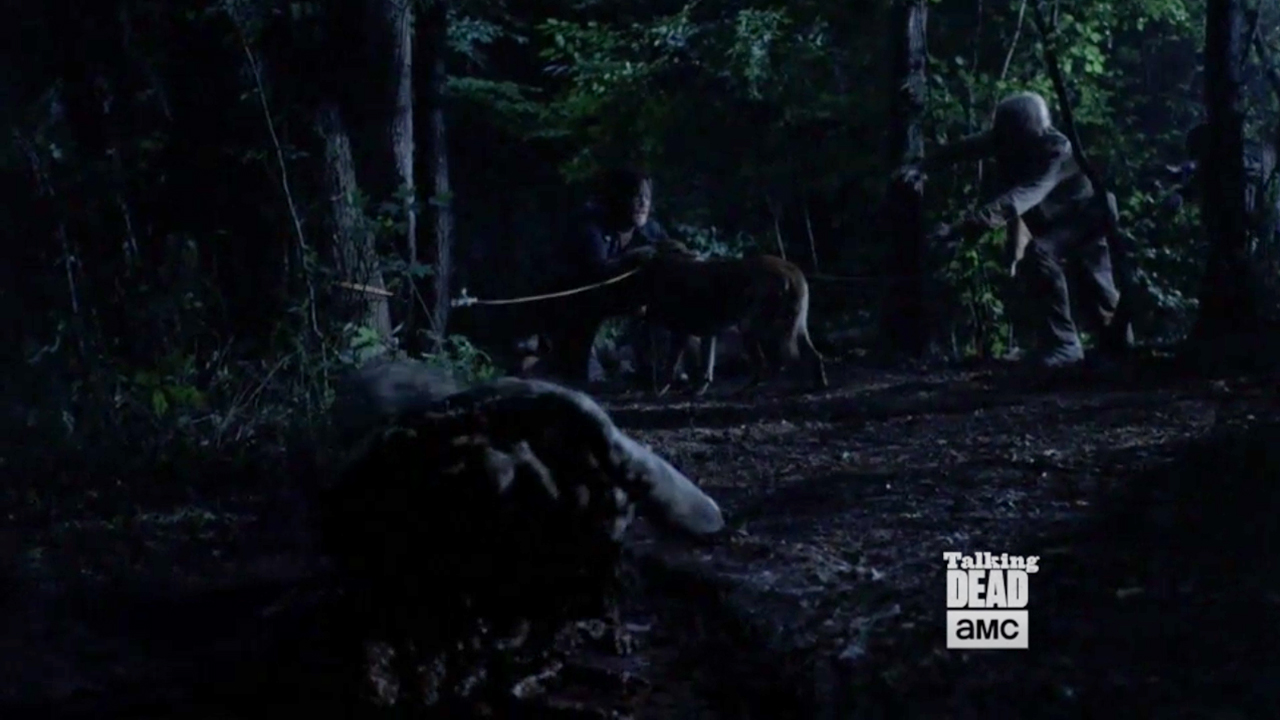 The Walking Dead 9ª Temporada | Daryl se Arrisca para Salvar seu Cachorro em Novo Vídeo do 7º Episódio!