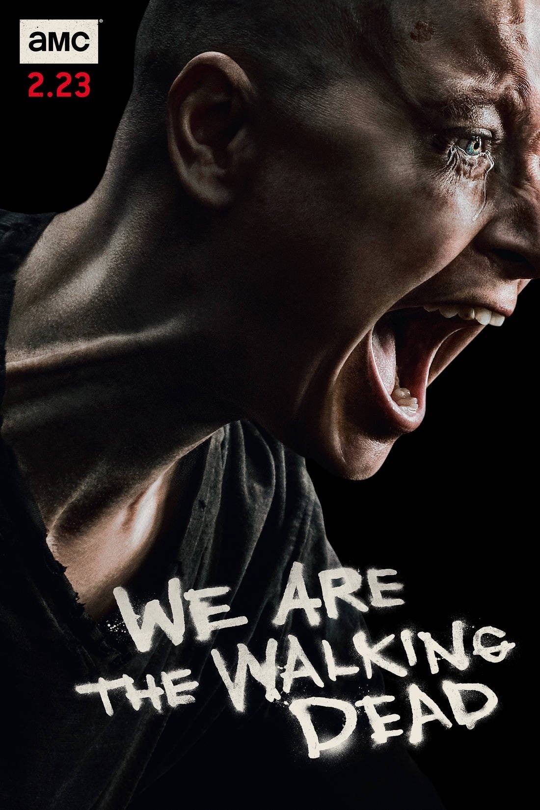 The walking dead 10 temporada poster we are 04 alpha