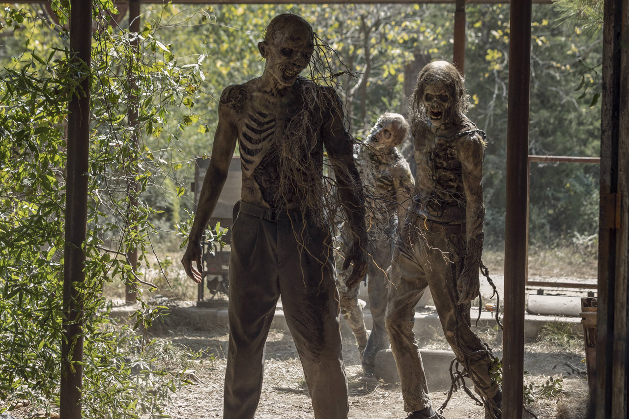 Discussão | The Walking Dead 10ª Temporada Episódio 10 – “Stalker”