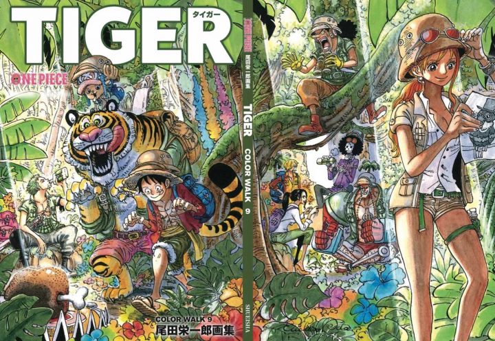 One piece color walk 9 tiger capa completa