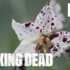 The walking dead 10ª temporada | gabriel e aaron enfrentam zumbis com muito gore em vídeo dos primeiros minutos do episódio 19