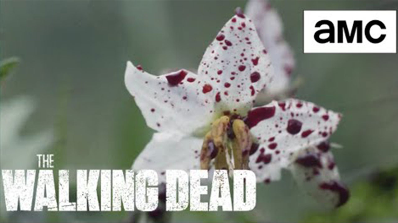 Cena de abertura do 19º episódio da 10ª temporada de The Walking Dead (S10E19 - 