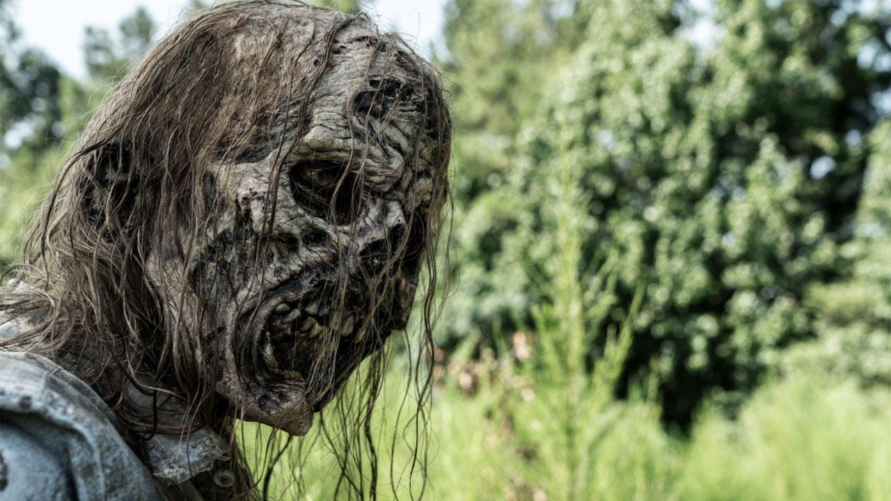 Zumbi do 13º episódio da 11ª temporada de The Walking Dead (S11E13 - 