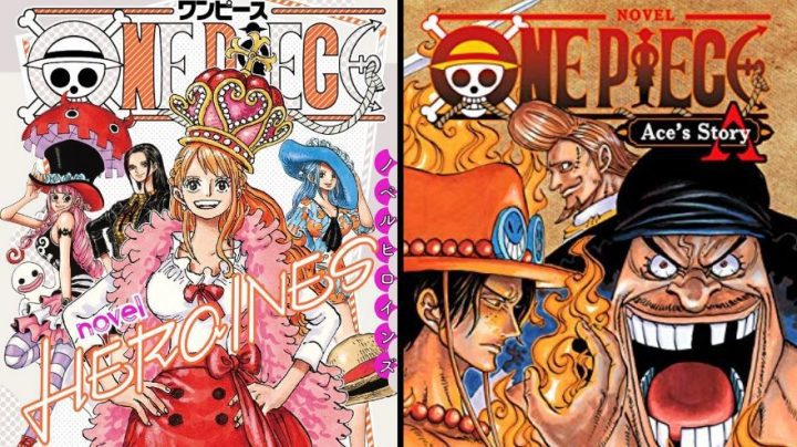 Onepiece novels heroines ace