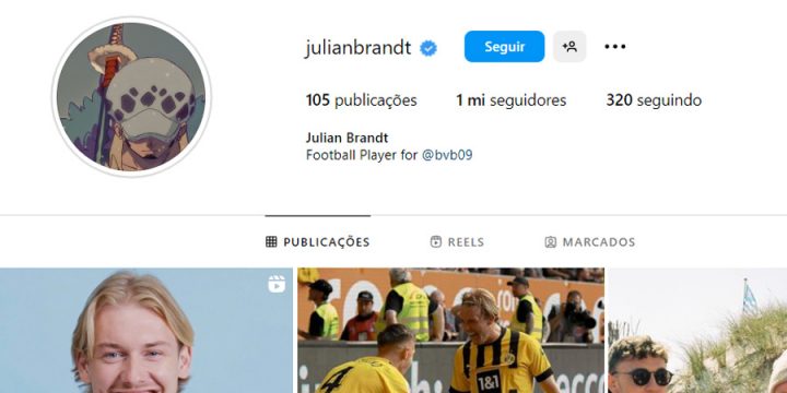 One piece julian brandt perfil instagram law
